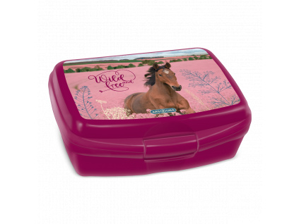 Lunch Box Wild and Free