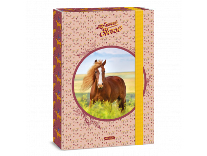 Ars Una Box na sešity My Sweet Horse A4