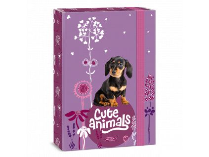 Ars Una Heftbox Cute Animals - Welpe A4