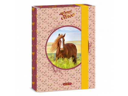 Ars Una Box na sešity My Sweet Horse A5