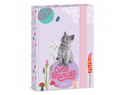 Ars Una Box na sešity Cute Animals - kotě A5