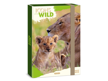 Box na sešity A4 Icons of the Wild - Lions