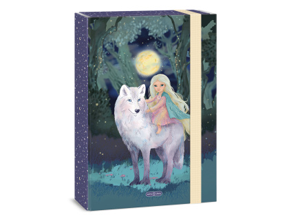 Box na sešity A4 Northern Lights