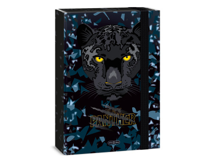 Box na sešity A4 Black Panther