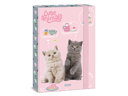 Box na sešity A4 Cute Animals - tea party