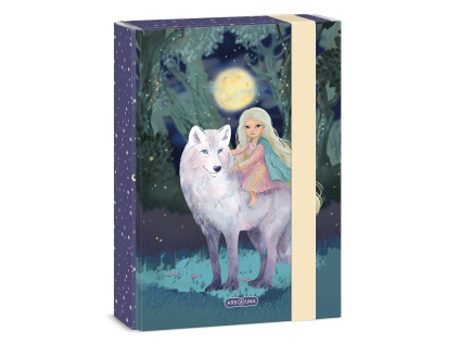 Ars Una Notebook Box A5 Northern Lights