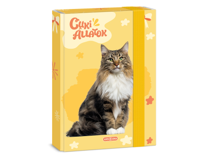 Ars Una Notebook Box A5 Cute Animals - Norwegian forest cats