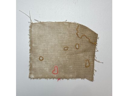 Delphine Prokešová: Maps of Coexistency 2