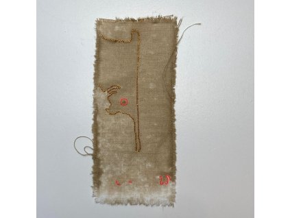 Delphine Prokešová: Maps of Coexistency 5