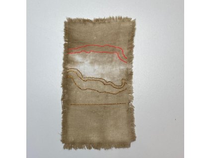 Delphine Prokešová: Maps of Coexistency 6