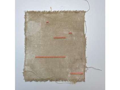 Delphine Prokešová: Maps of Coexistency 7