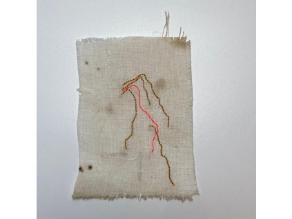 Delphine Prokešová: Maps of Coexistency 8