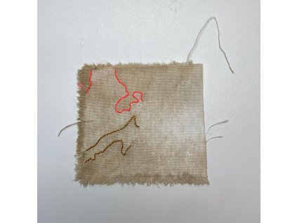 Delphine Prokešová: Maps of Coexistency 9