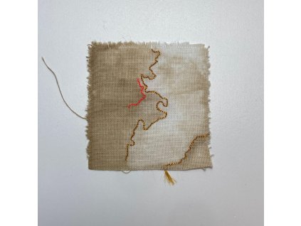 Delphine Prokešová: Maps of Coexistency 10