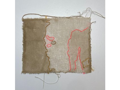 Delphine Prokešová: Maps of Coexistency 11