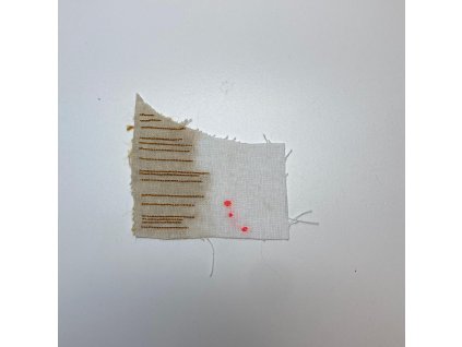 Delphine Prokešová: Maps of Coexistency 13