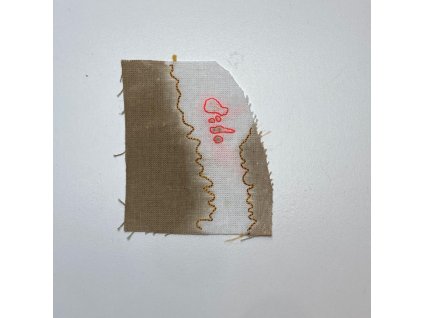 Delphine Prokešová: Maps of Coexistency 14