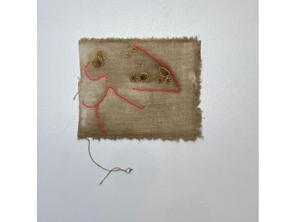 Delphine Prokešová: Maps of Coexistency 15