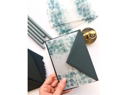 Transparentní přebal - Eukalypt