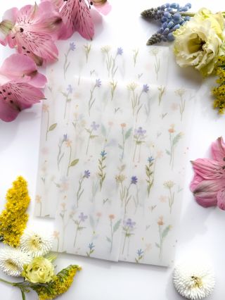 Transparentní přebal Luční kvítí 🌸 Ozdobte své tiskoviny do našeho přebalu a vytvořte tak nezapomenutelný první dojem✨...