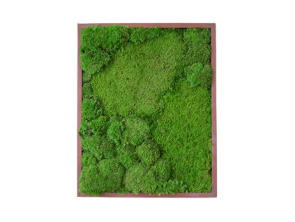 3259a61b 5826 4127 a3e0 b6540d889c1b