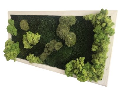 Mechový obraz Paradise