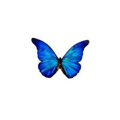 P1130890