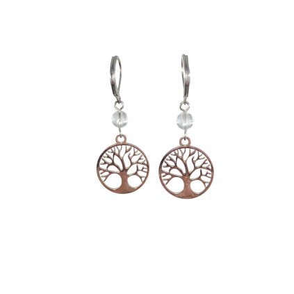 transparesdfgsd (38)