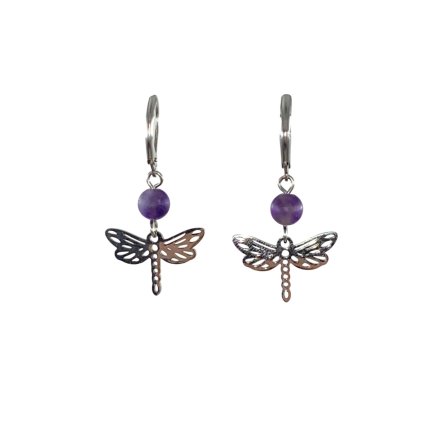 transparentasda (41)