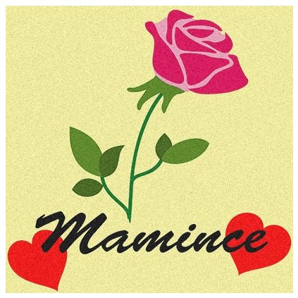 Růže pro maminku (Velikost 30x30cm)