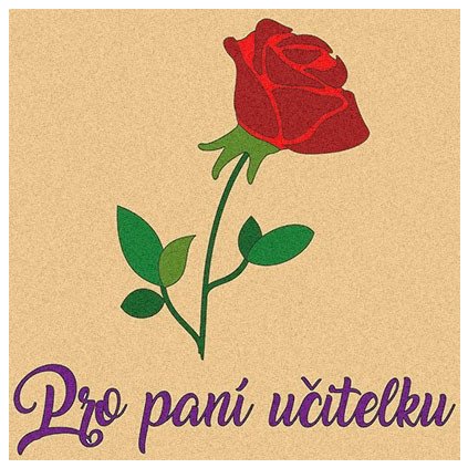 Růže pro paní učitelku (Velikost 30x30cm)