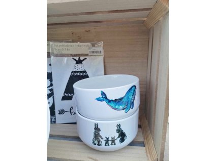 448611095 895117732636338 2848707674862497853 n