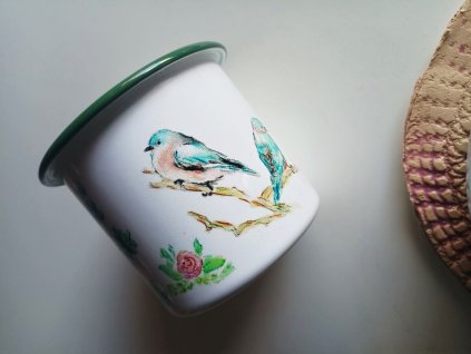 plecháček ptáčci