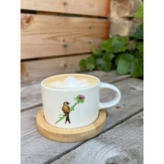 Kdo milujete stehlíka 🌿 najdete ho aktuálně na eshopu SKLADEM na množstvím produktů 👏🏽 www.artanddecobytsd.cz Všechny...