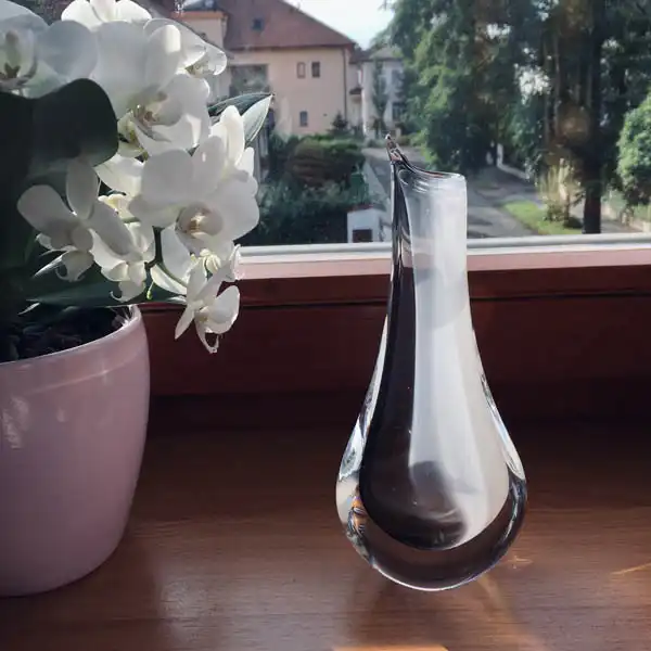 Hand-blown art glass vase.