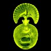 uranium glass art deco peacock perfume bottle with fan stopper h hoffmann uv reactive