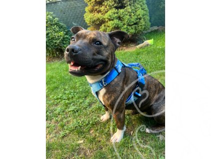 454235604 1560228254840249 2972260691536040973 n