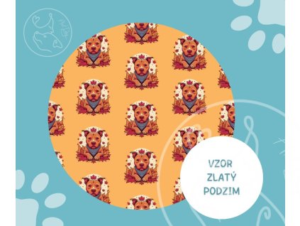 Vodítko Zlatý podzim