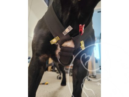 Obrázek WhatsApp, 2025 12 07 v 20.06.23 d4dbec13