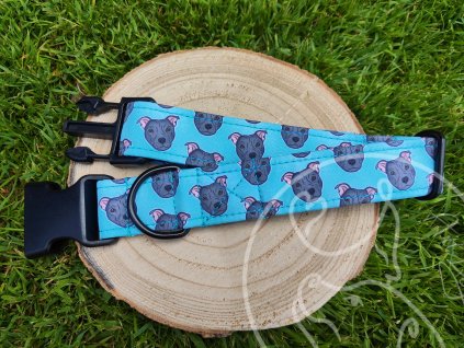 Obojek Stafík tyrkys