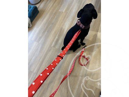 Přepínací posuvné vodítko Maxík max 280/250 cm