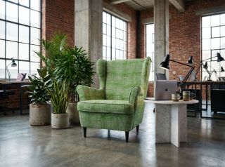 The Strandmon armchair in a fresh green coat is exactly what your reading nook needs. 🪑💚 The GREEN PUFF collection relies...