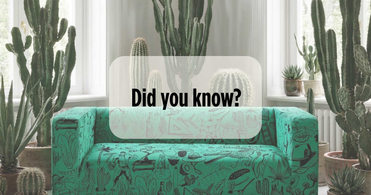 Why every artefly cover is a original?