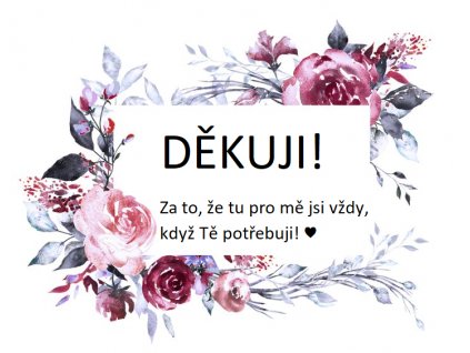 DĚKUJI!