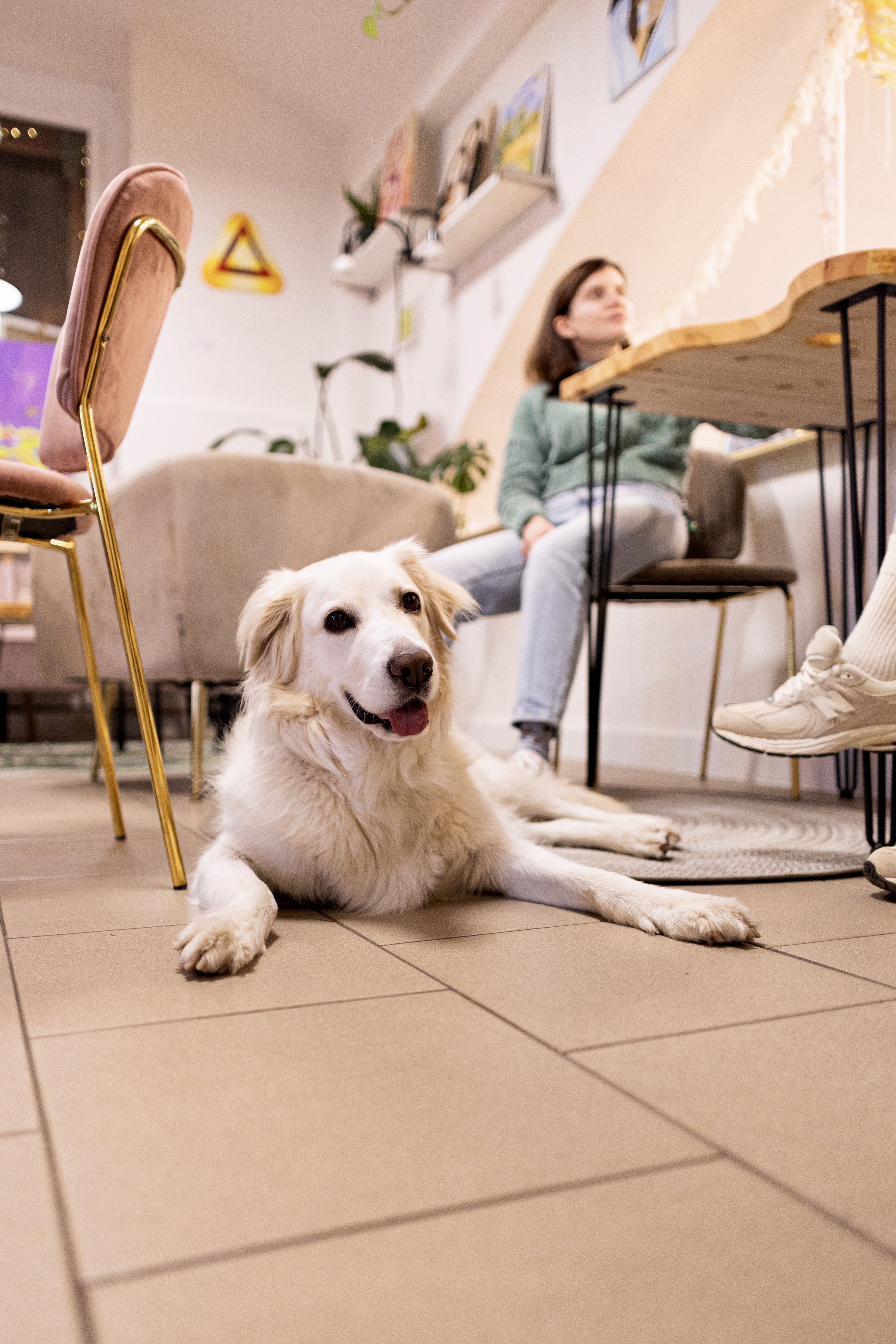 Kavárna v Artelieru