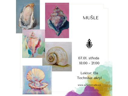 Mušle | 07.01. středa 18:00