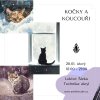 Kočky a koucouři | 20.01. úterý 18:00