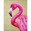 Victoria Heald Flamingo #3
