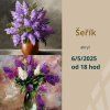 Akrylová malba - Šeřík | 06.05. středa 18:00
