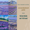 Akrylová malba - Levandulové pole | 18.06. čtvrtek 18:00